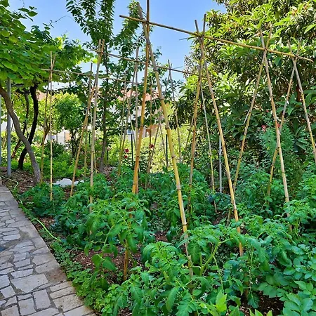 Apartments Marija Pula Zewnętrze zdjęcie
